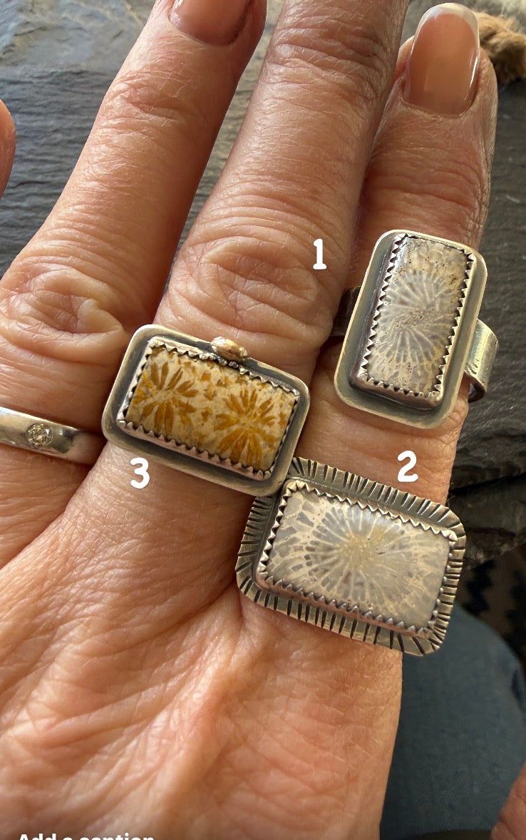 Fossilised Coral Ring, handmade in the Netherlands